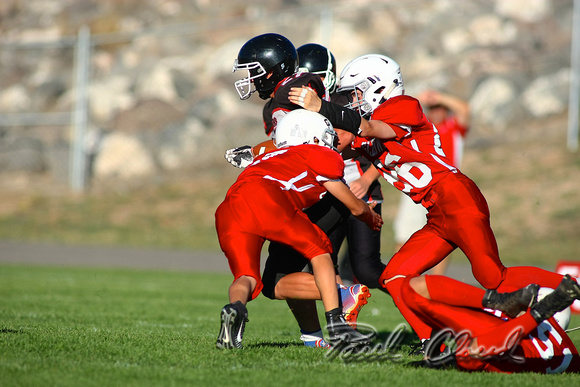 150924 GRAND VALLEY PANTHERS PCP33583
