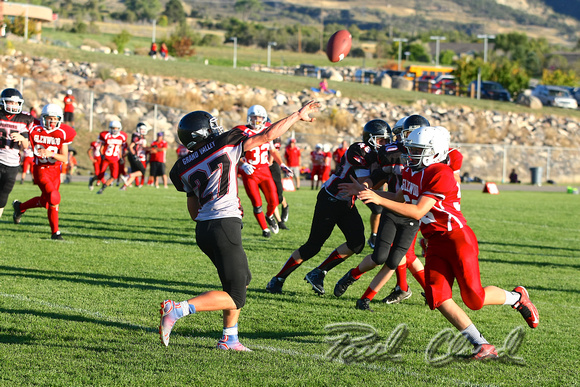 150924 GRAND VALLEY PANTHERS PCP10692