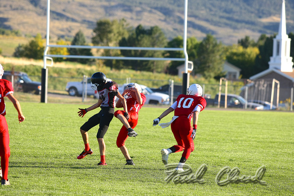 150924 GRAND VALLEY PANTHERS PCP10697