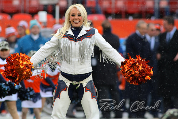 141123 MIAMI DOLPHINS PCP10041