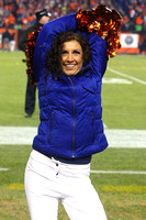 151228 CINCINNATI BENGALS  PCP10254