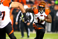 151228 CINCINNATI BENGALS  PCP30827